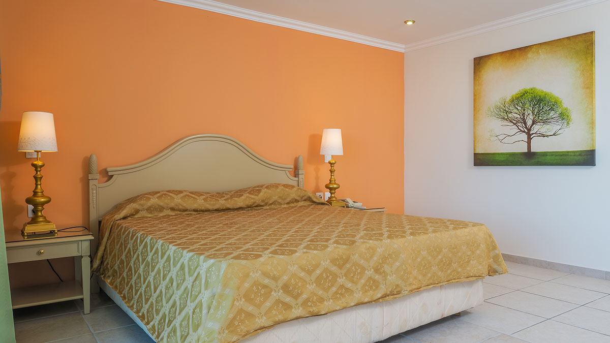 Suite/Executive Room